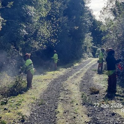 Roce y despeje de faja vial