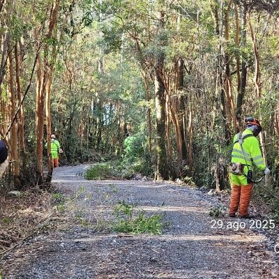 Roce y despeje de faja vial