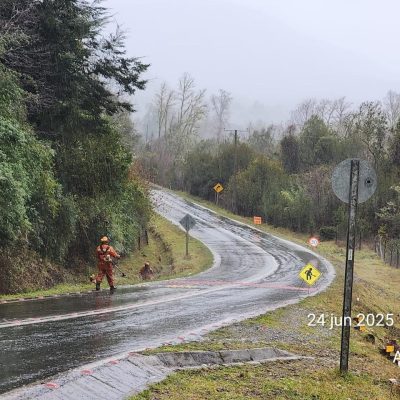Roce despeje de faja vial