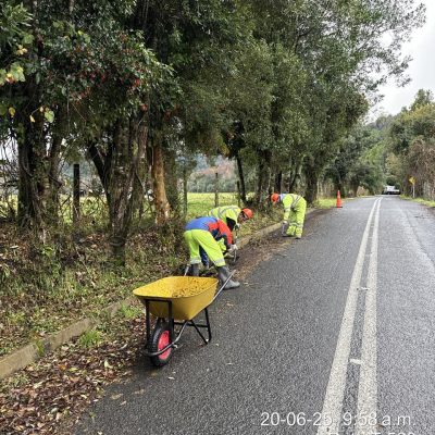 Roce despeje de faja vial