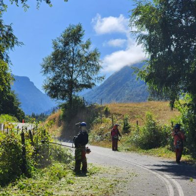 WhatsApp Image 2025-09-22 at 16.09.17